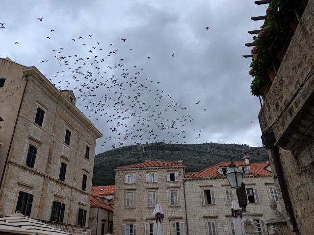 Mount Srđ with the imperial fort