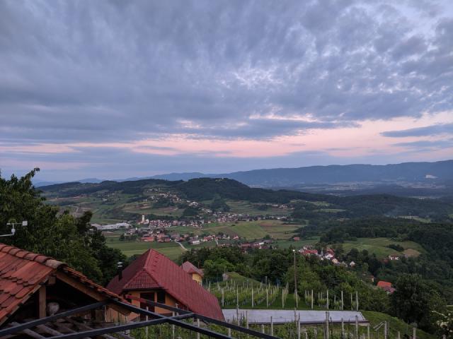 View from my bedroom into the evening sun