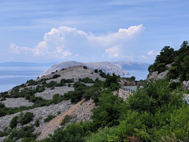 Pretty standard sight from the coastal road