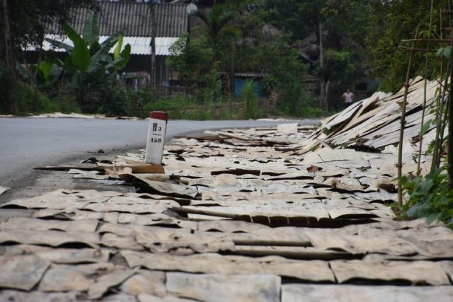 Veneer drying at the road side