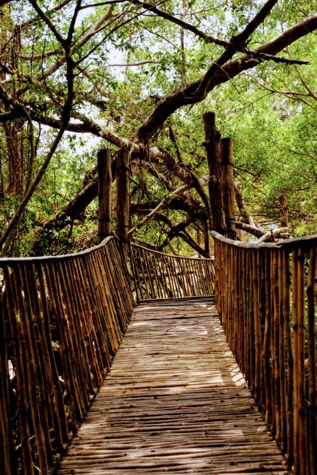 Rope bridge leading towards the main island, on the rare occasion where noone else is taking a picture