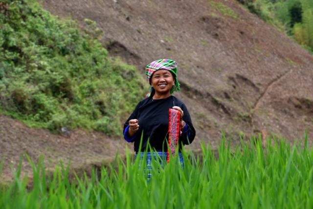Woman working the rice fields